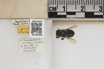 Media type: image;   Entomology 785946 Aspect: Labels